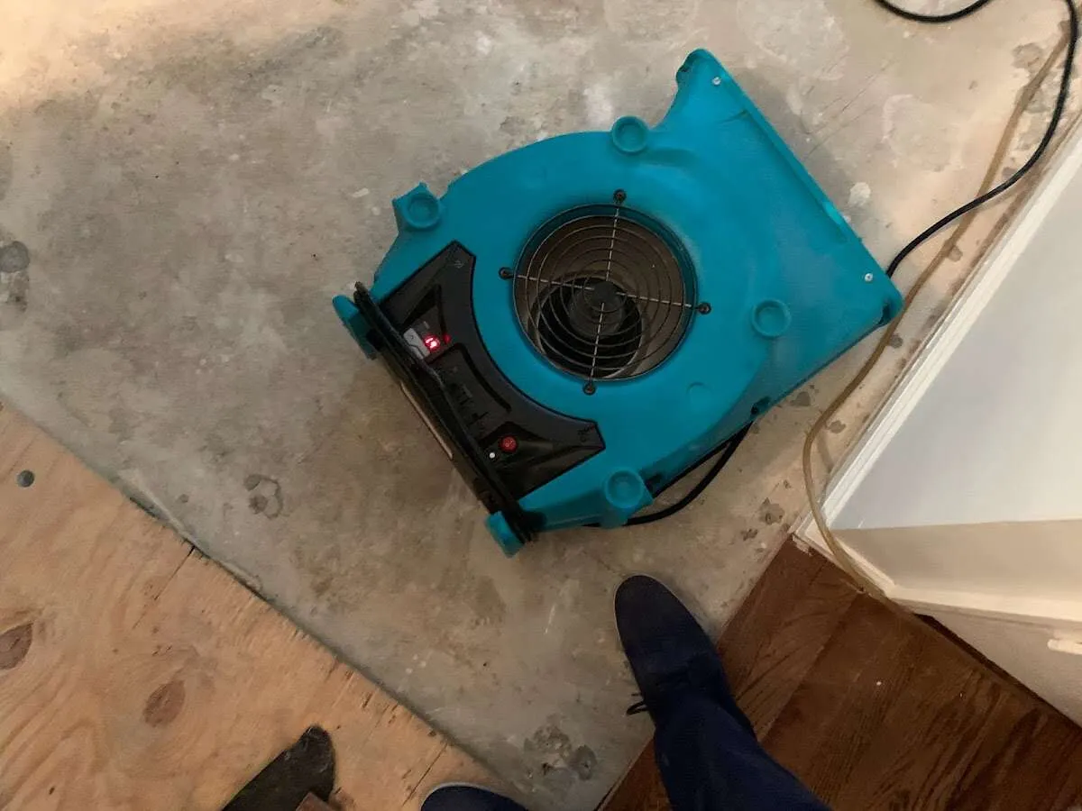 Air mover drying subfloor during Commercial Water Damage Restoration in Auburn